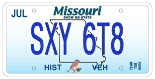 SXY 6T8 License Plate